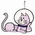 Space Cat