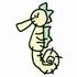 Seahorse