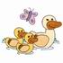 Duck Family