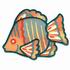 Butterfly Fish