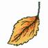 Autumn Leaf Mini