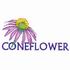 Coneflower