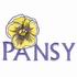 Pansy