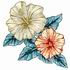 2 Hibiscus Blossoms