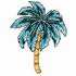 Palm Tree