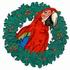 Christmas Macaw