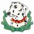 Christmas Dalmatian