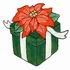 Poinsettia on Gift