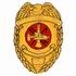 Fire Badge