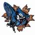 Blue Jays