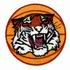 Basketball Tiger