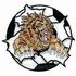 Lions Soccer