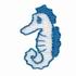 Seahorse