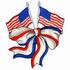 Patriotic Ribbon