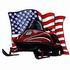 Snowmobile w/ Flag