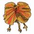 Frilled Lizard