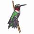 Ruby Throated Hummingbird