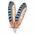 Blue Jay Feathers