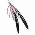 Buzzard Feathers