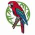 Green Winged Macaw