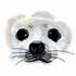 Harp Seal Eyes