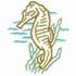 Seahorse