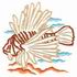 Lionfish