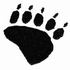 Black Bear Print