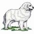 Great Pyrenees