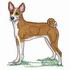 Basenji