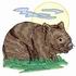 Wombat