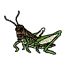 GRASSHOPPER