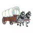 PERCHERON TEAM