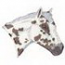 Appaloosa