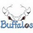 Buffalos