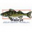 Walleye