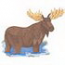 Moose Scene