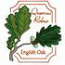 English Oak