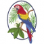 Scarlet Macaw